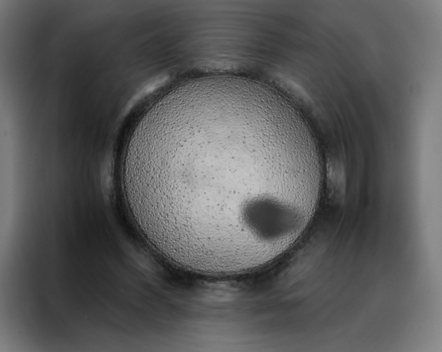X0000088230396200705221829