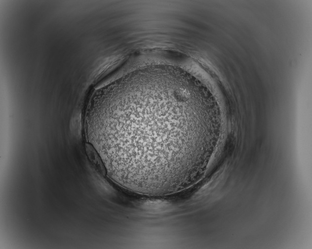 X0000088230397200705221829