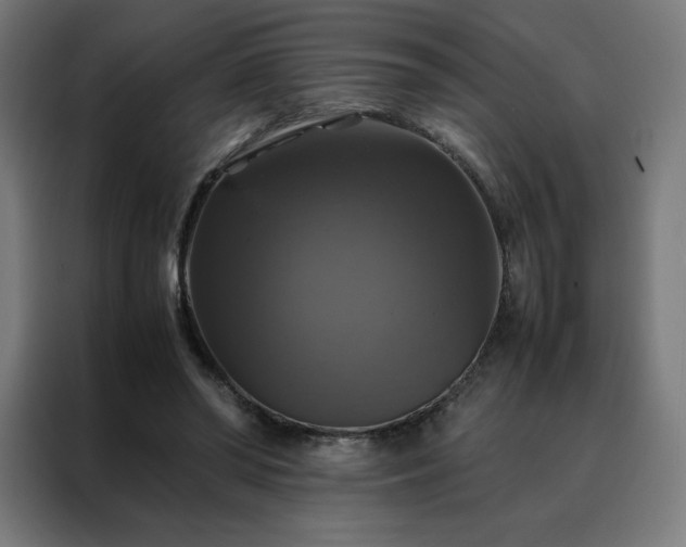 X0000088230398200705221829