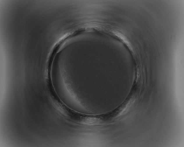 X0000088230399200705221829