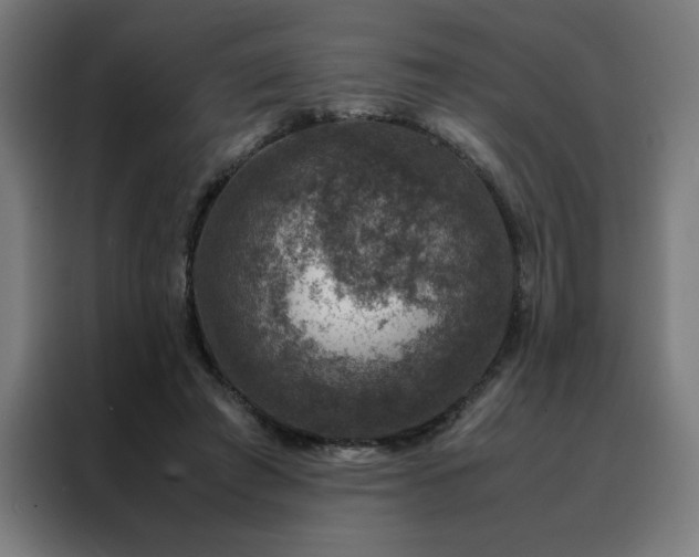 X0000088230401200705221829