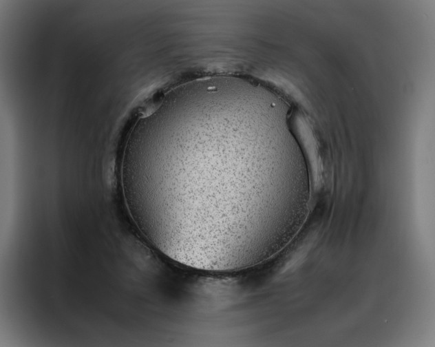 X0000088230403200705221829