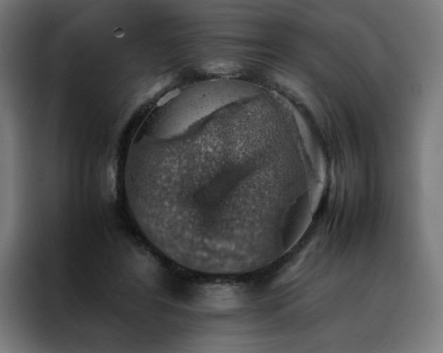 X0000088230404200705221829