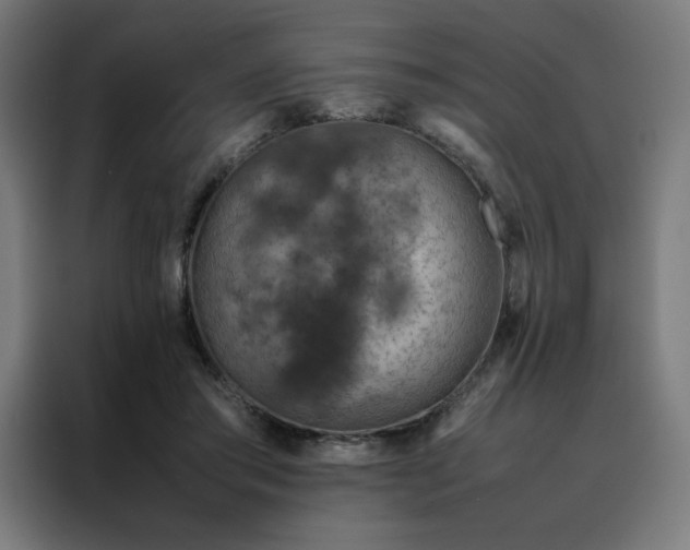 X0000088230405200705221829
