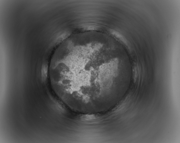 X0000088230406200705221829
