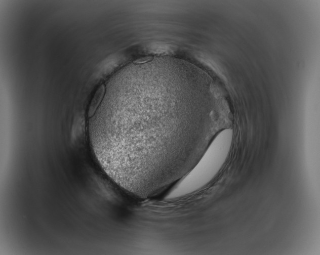 X0000088230407200705221829