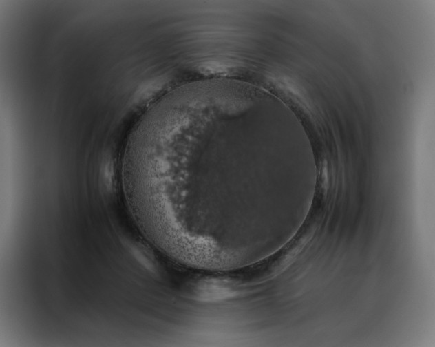 X0000088230408200705221829