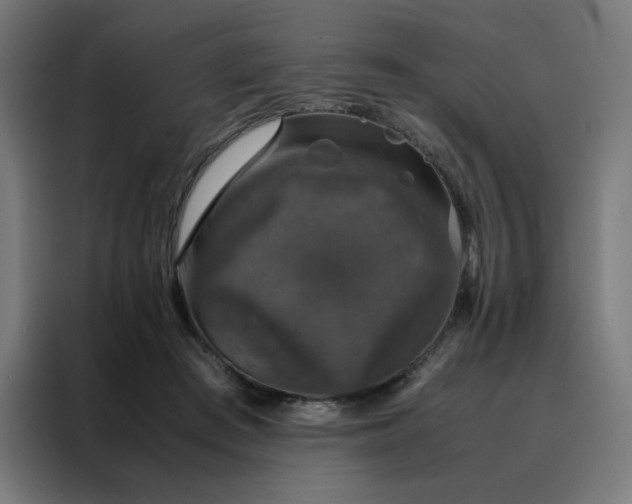 X0000088230409200705221829