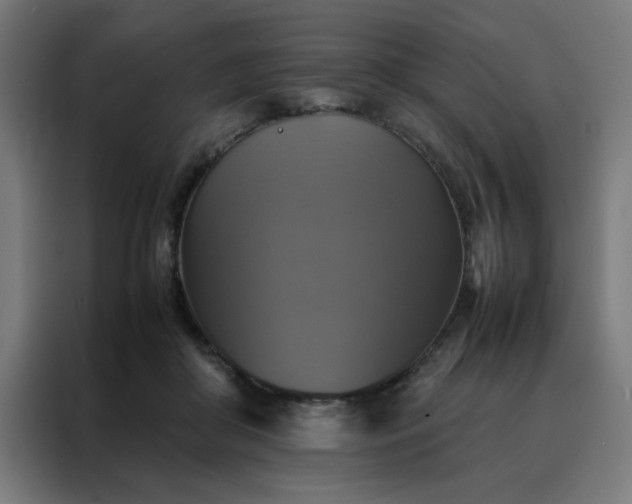 X0000088230410200705221829