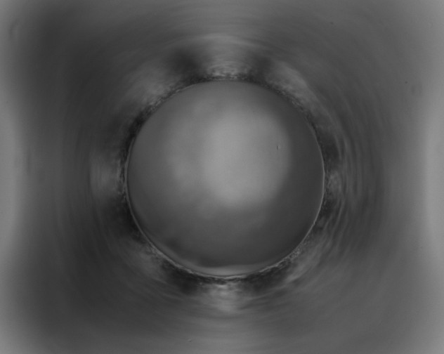 X0000088230411200705221829