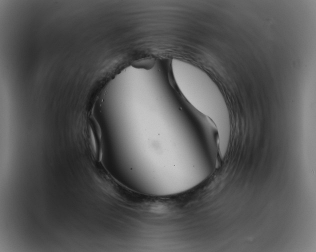 X0000088230412200705221829