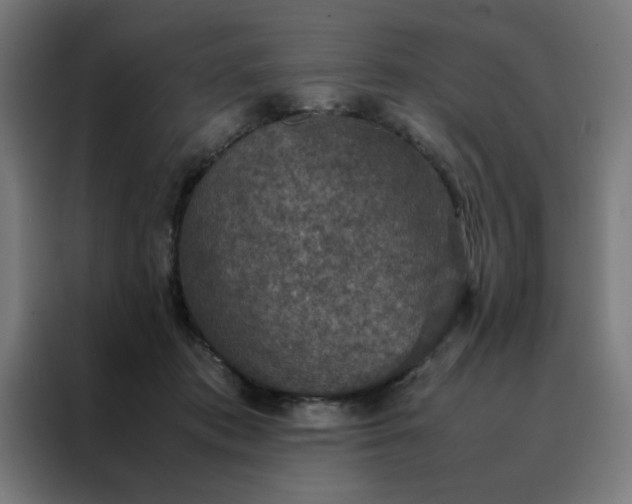 X0000088230413200705221829