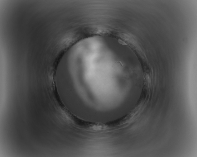 X0000088230415200705221829
