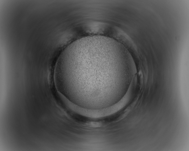 X0000088230416200705221828