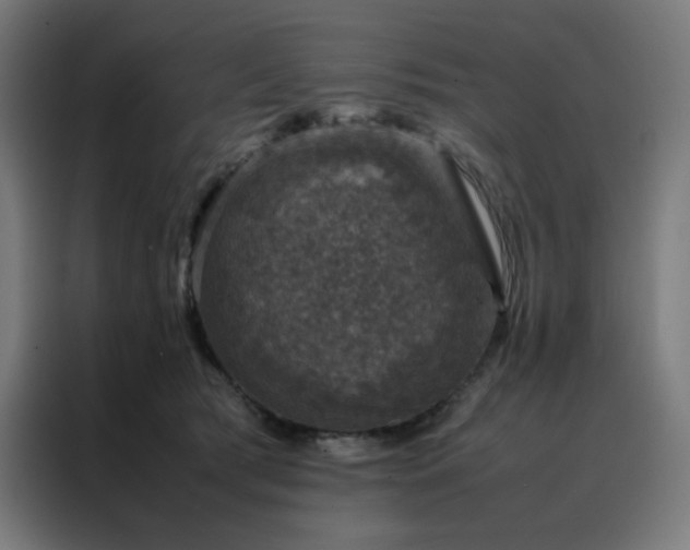 X0000088230417200705221828