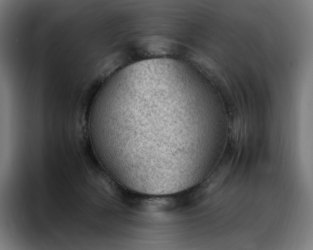 X0000088230418200705221828