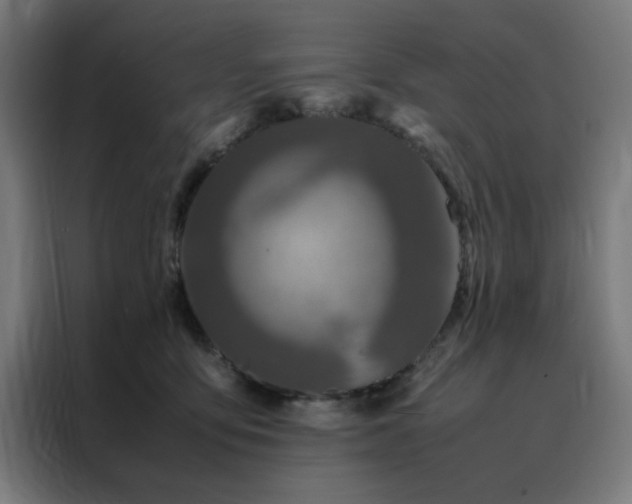 X0000088230419200705221828