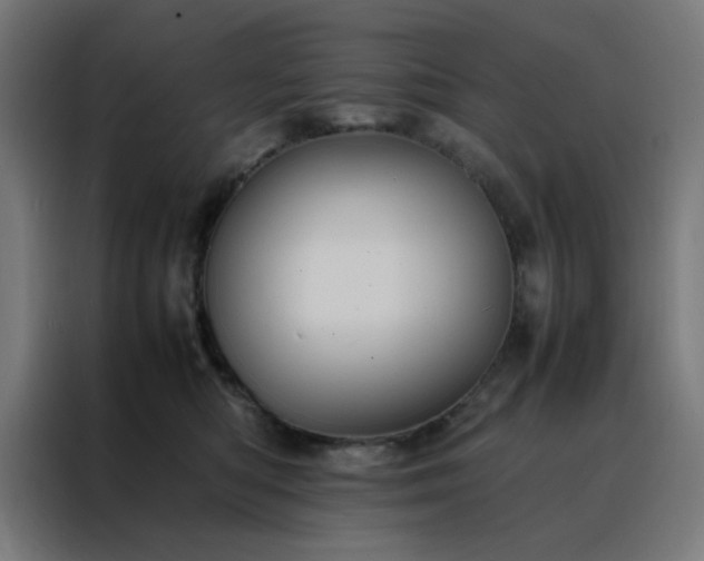 X0000088230422200705221828