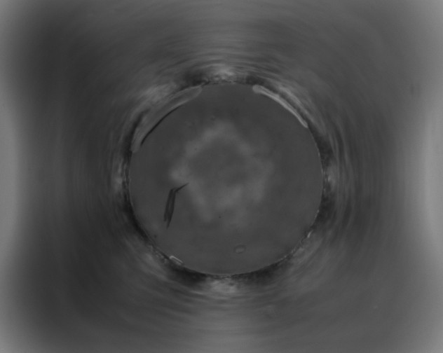 X0000088230423200705221828