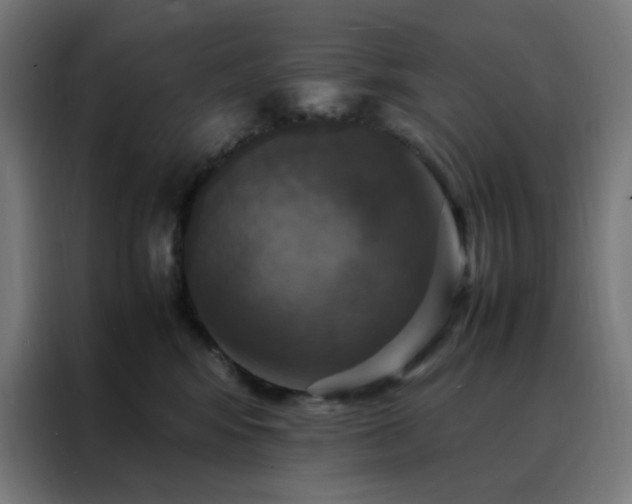 X0000088230424200705221828