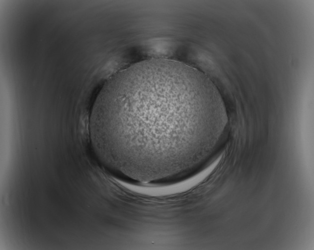 X0000088230425200705221828