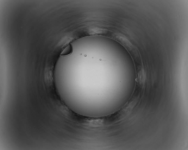 X0000088230426200705221828