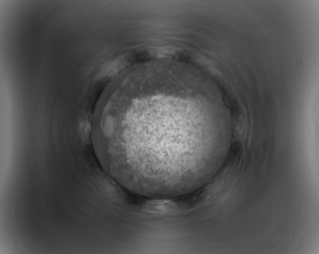 X0000088230427200705221828