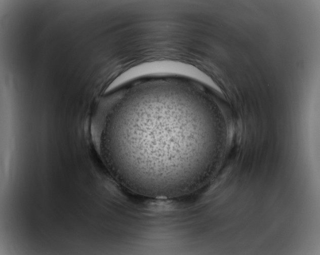 X0000088230428200705221828
