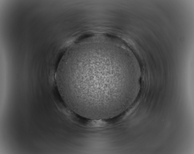 X0000088230429200705221828