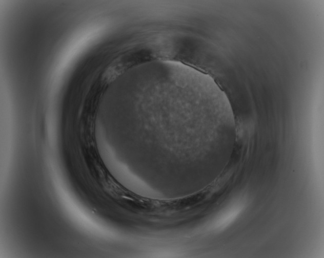 X0000088230431200705221828