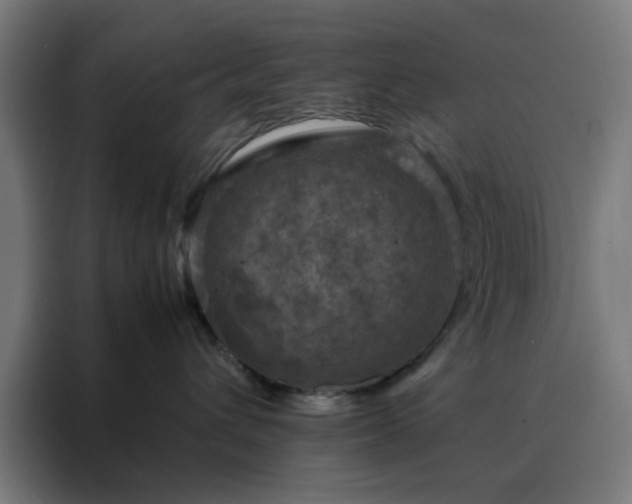X0000088230432200705221828