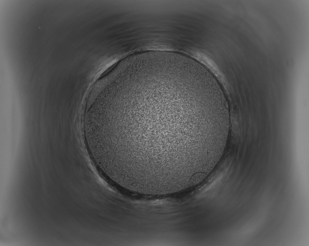 X0000088230433200705221828