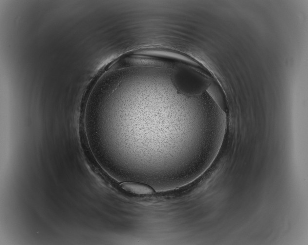 X0000088230434200705221828