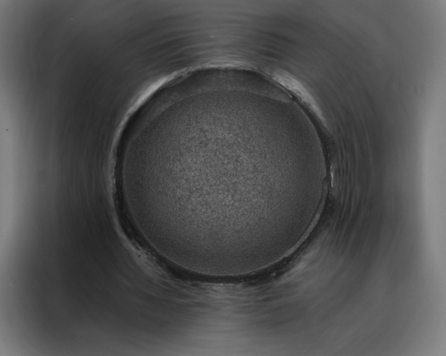 X0000088230436200705221828