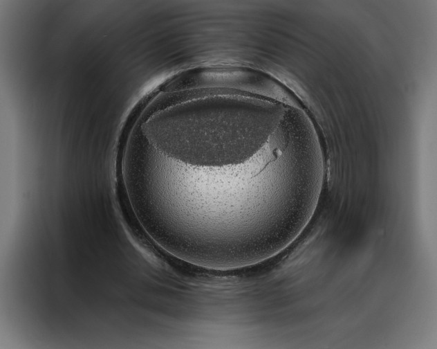 X0000088230438200705221828