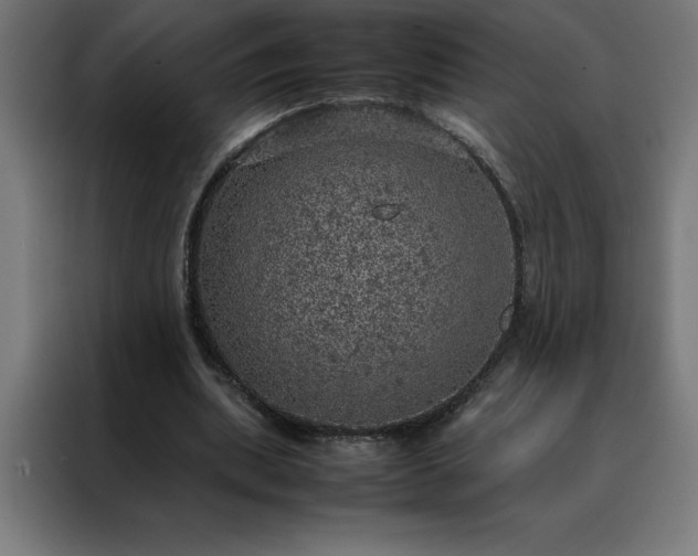 X0000088230439200705221828