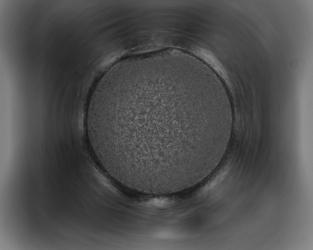 X0000088230441200705221828