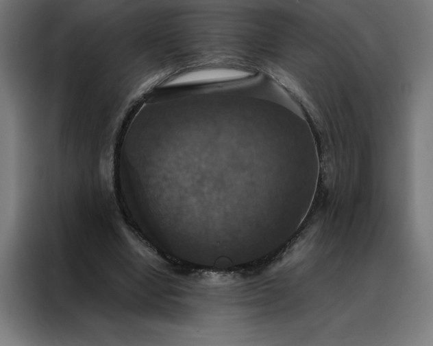X0000088230442200705221828