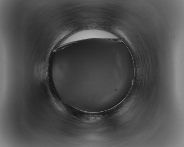 X0000088230443200705221828
