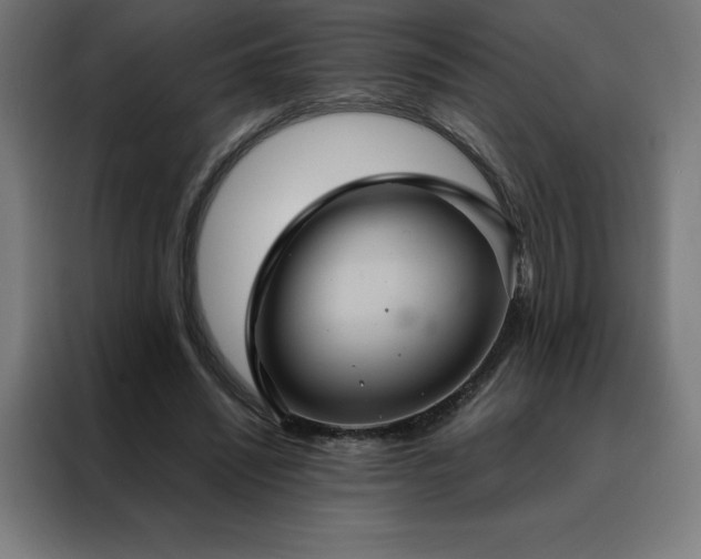 X0000088230444200705221828