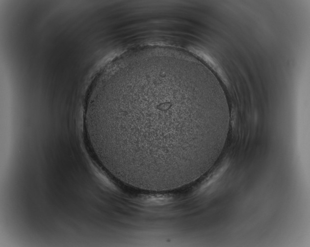 X0000088230445200705221828