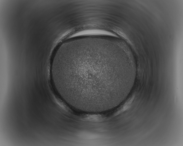 X0000088230446200705221828
