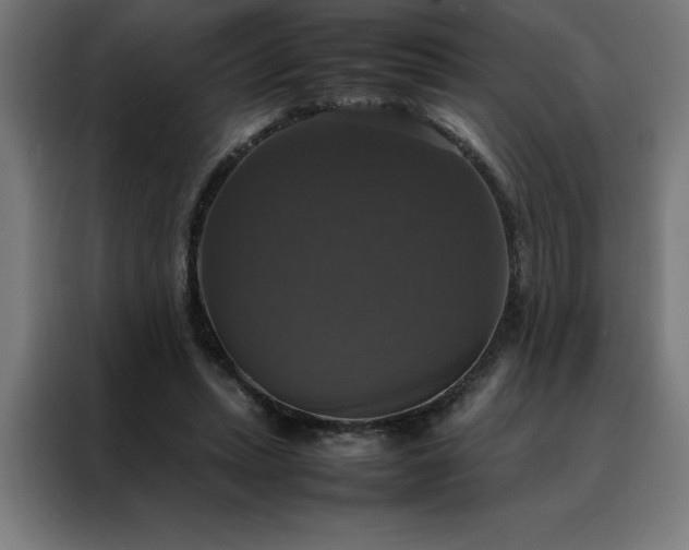 X0000088230447200705221828