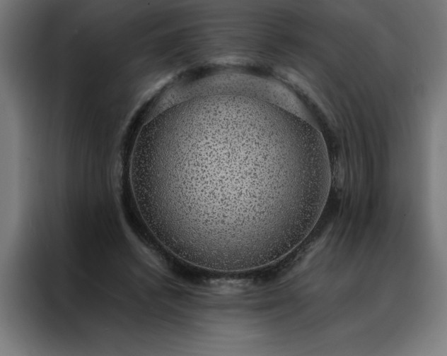X0000088230448200705221828