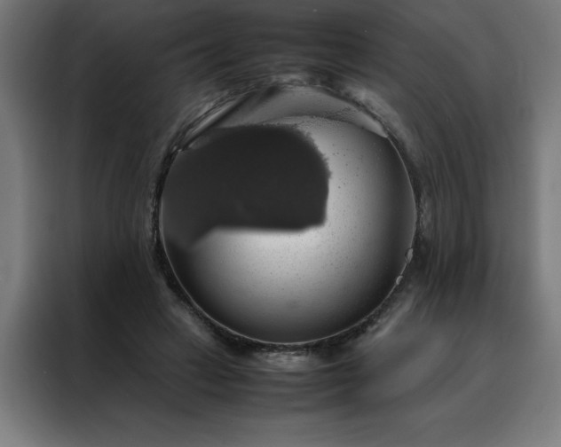 X0000088230449200705221828
