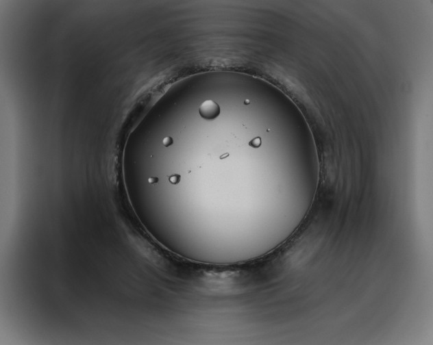 X0000088230450200705221828