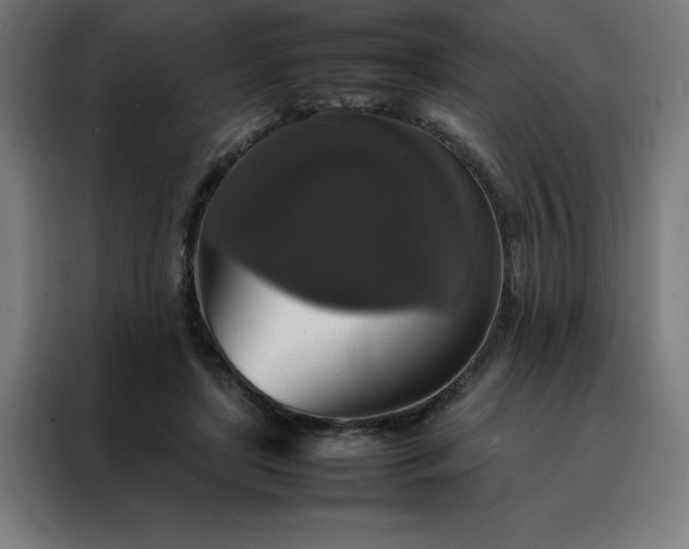 X0000088230451200705221828