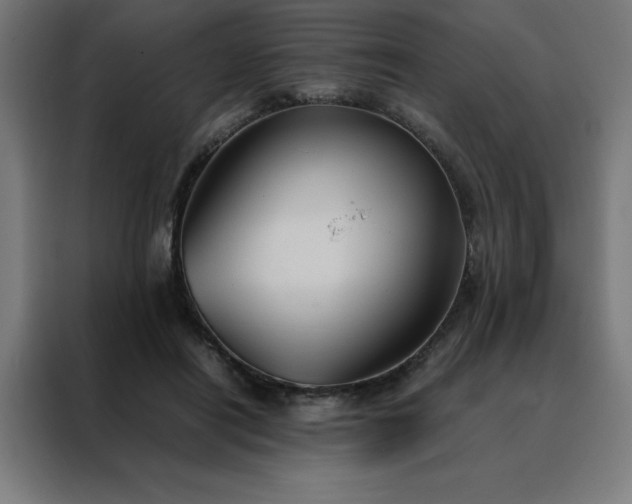 X0000088230454200705221828