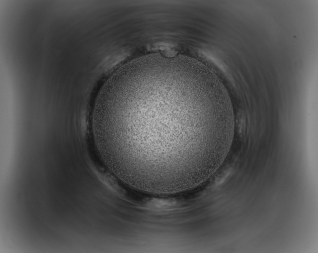 X0000088230455200705221828