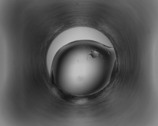 X0000088230456200705221828